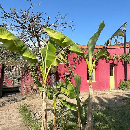 Maisonnette De Loire بيت للعطل Oudon